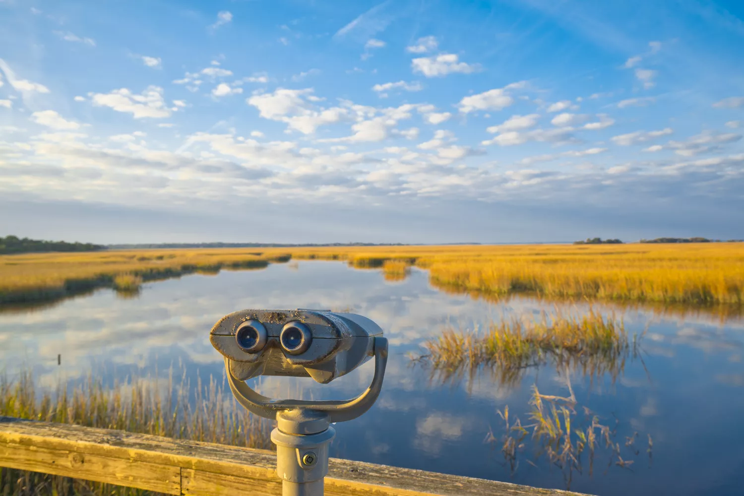 Cumberland Island marsh area
