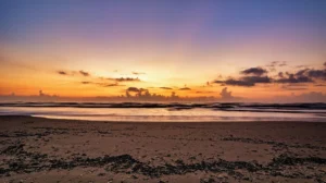 Une Plage Cachée au Cœur d'un Parc Estatal du Sud