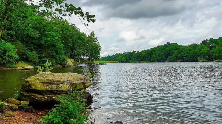 Des Créatures en Bois Géantes à Découvrir dans un Parc du Sud