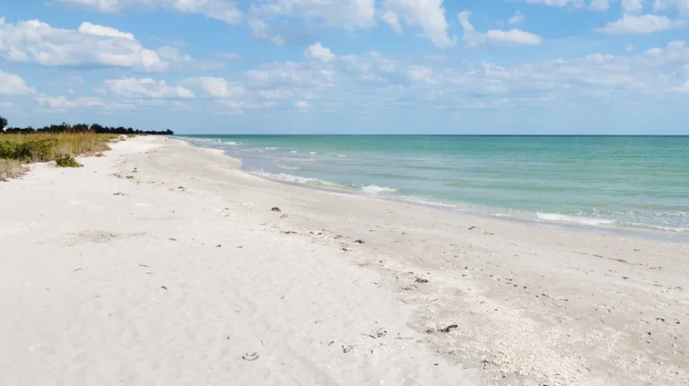 Échappez au froid : une plage inoubliable en Floride cet hiver