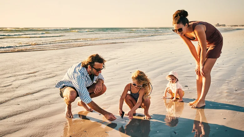Family looking for seashells on the beach