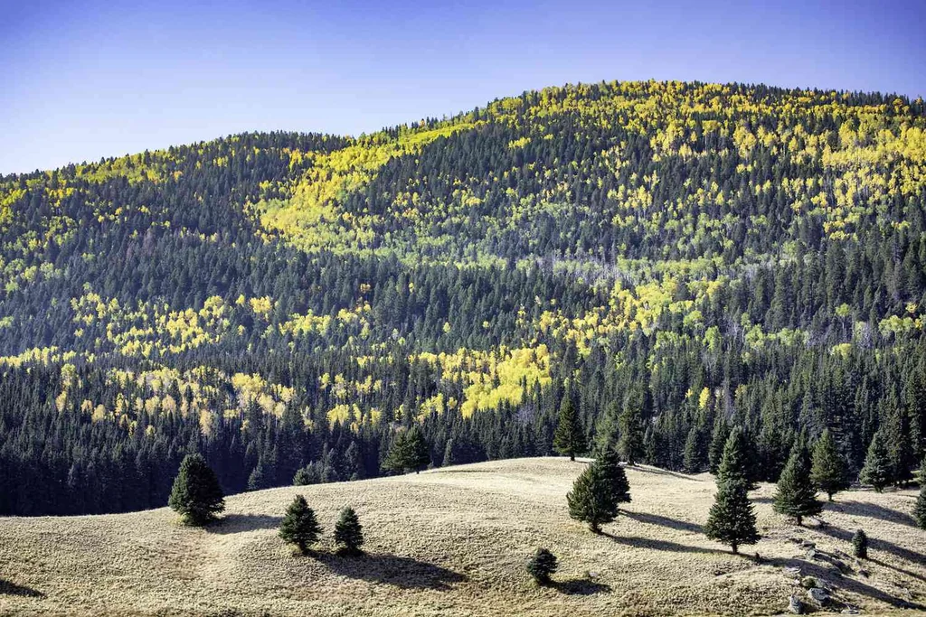 Los Alamos et ses parcs nationaux