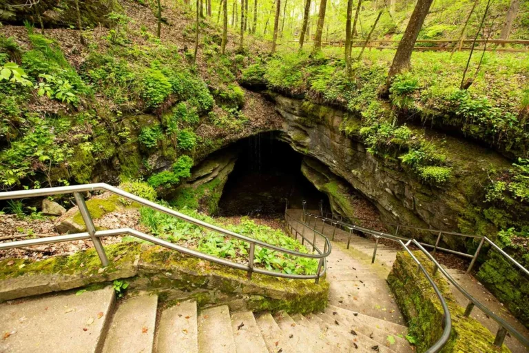 Parc national Mammoth Cave