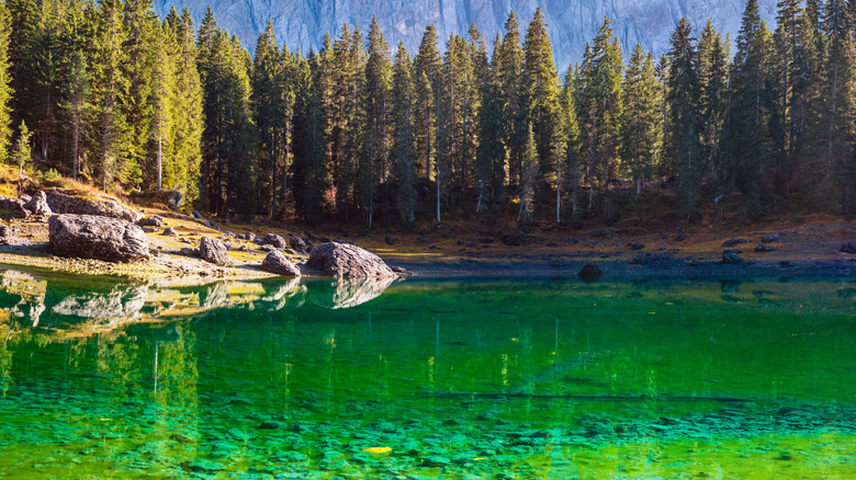Les eaux vertes du Lago di Carezza