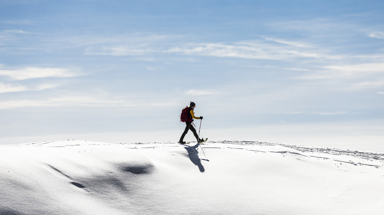 Avalanches sur le sentier Chilkoot