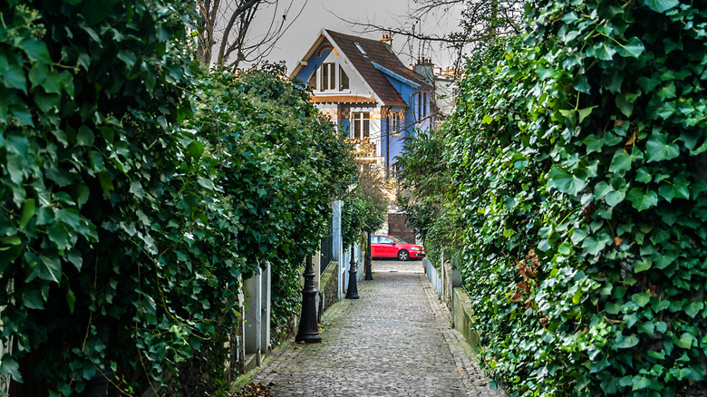 narrow laneway in La Mouzaïa