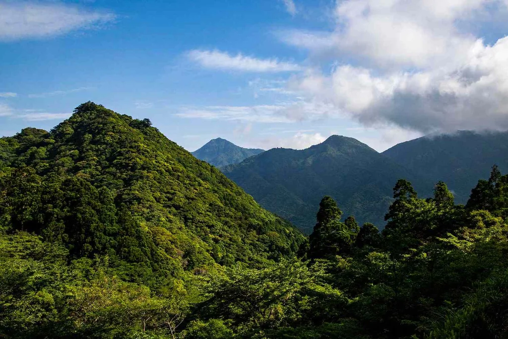 Yakushima, a subtropical island south of Kyushu, Japan