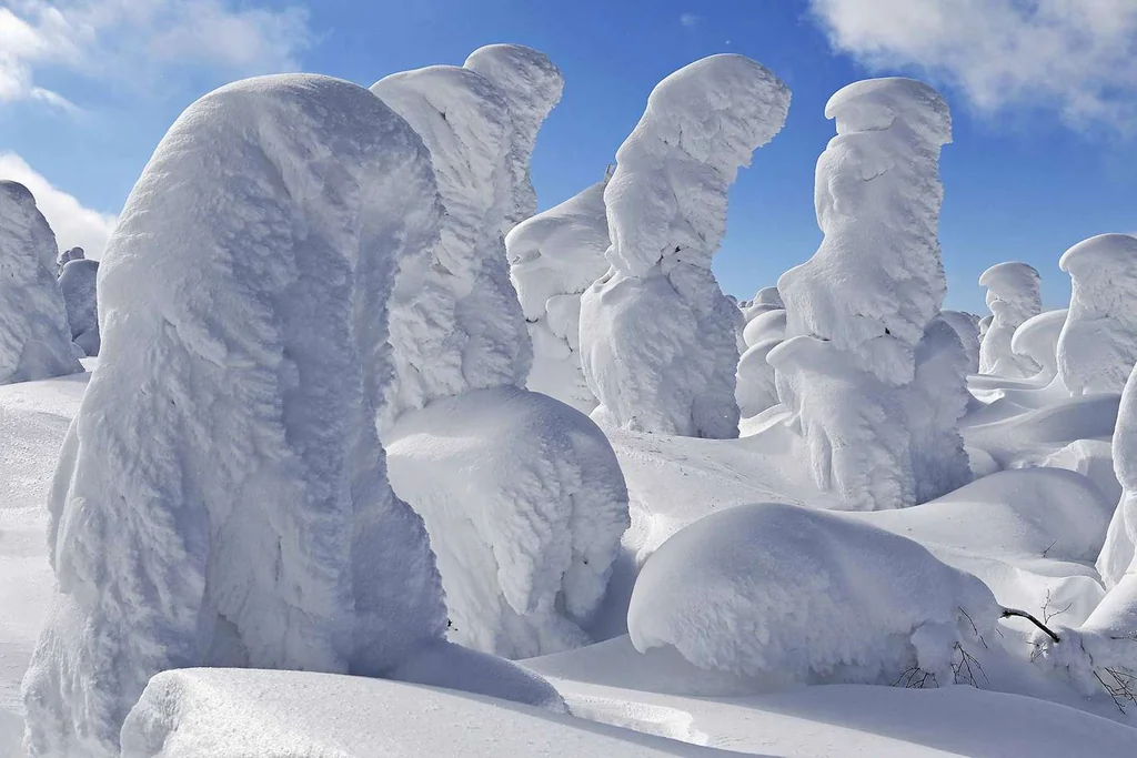 Snow monsters of Mont Zao in Japan