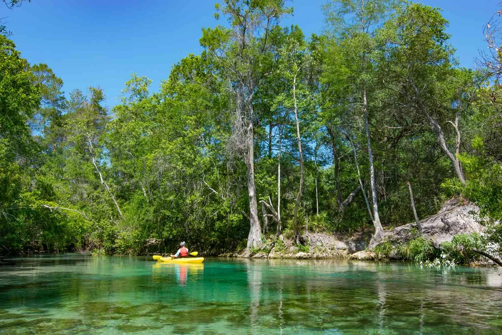A lone kayaker paddles the Weeki Wachee River in Florida.
