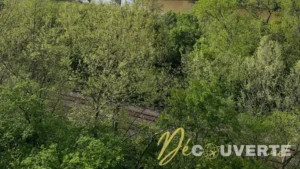 Castlewood State Park : Une escapade nature aux portes de Saint-Louis, Missouri