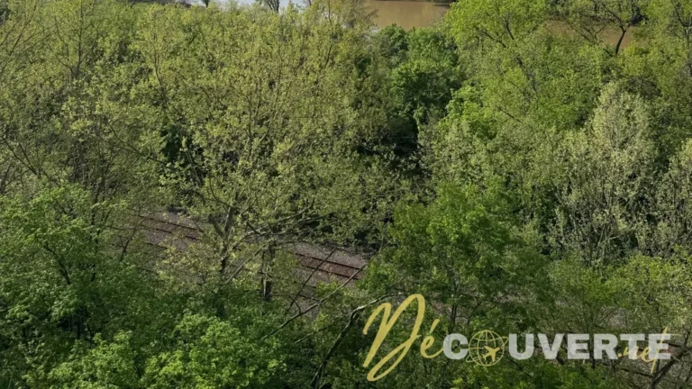 Castlewood State Park : Une escapade nature aux portes de Saint-Louis, Missouri