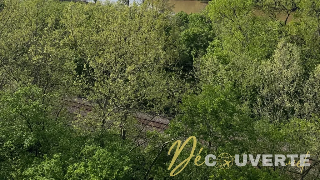 Castlewood State Park : Une escapade nature aux portes de Saint-Louis, Missouri