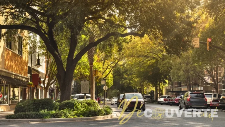 Pourquoi Columbia, en Caroline du Sud, est la destination tendance de l'automne