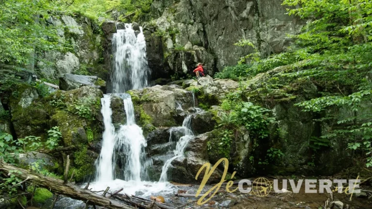 Douthat State Park : Le trésor caché de Virginie entre lac et montagnes