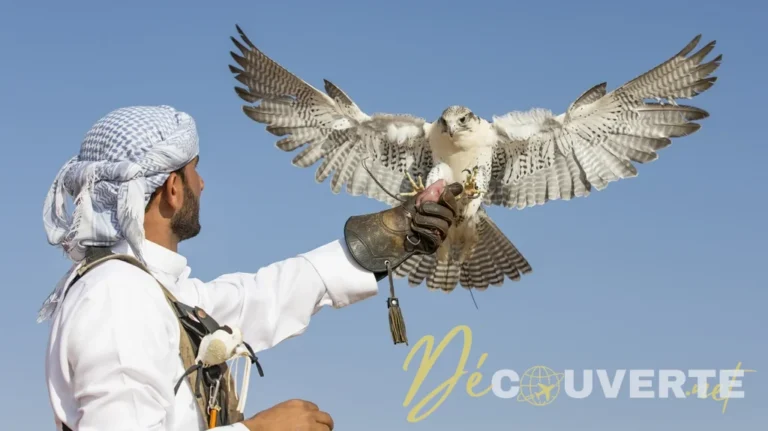 Pourquoi les faucons voyagent-ils en cabine sur les compagnies du Moyen-Orient ?
