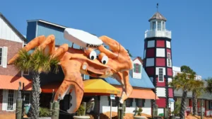 La saison du crabe à mue : une étape gastronomique incontournable dans les Carolines