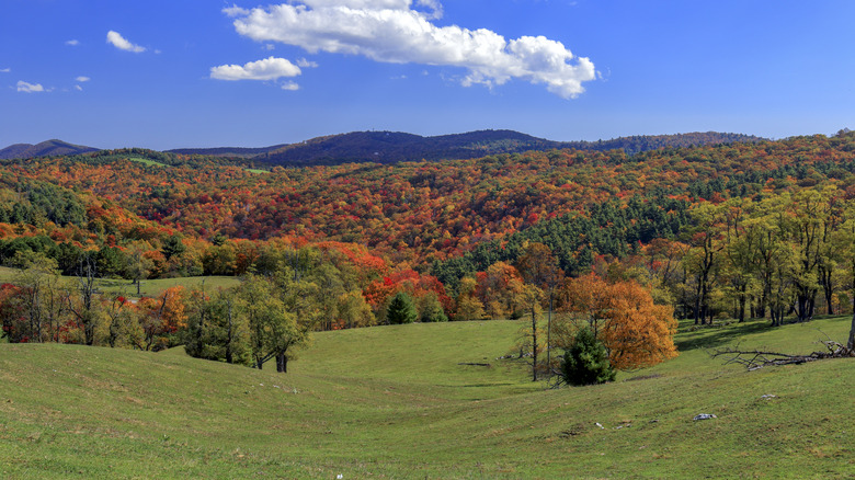 Couleurs d'automne à Doughton Park, Blue Ridge Parkway