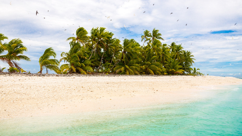 Plage balayée par le vent à Tuvalu