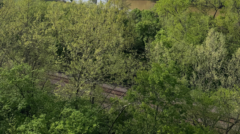 Une falaise surplombant une rivière au Castlewood State Park