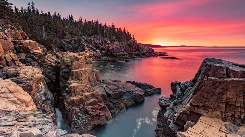 Falaises rocheuses au coucher du soleil à Acadia