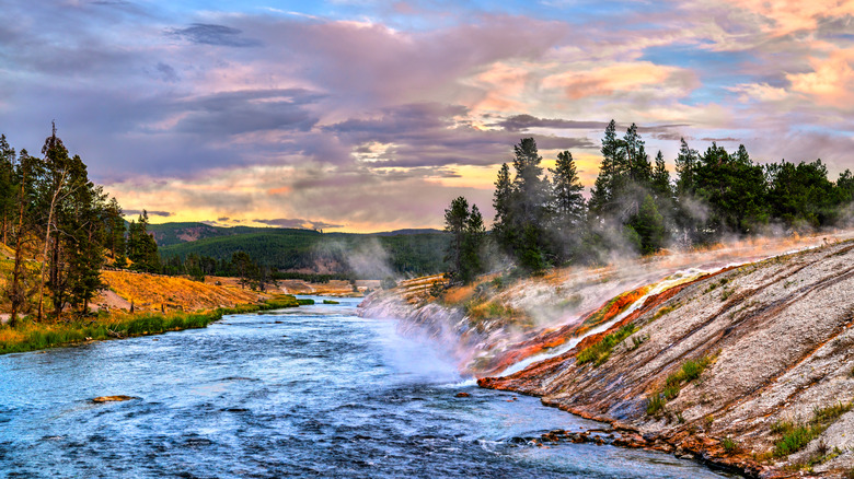 Une rivière dans le parc national de Yellowstone au crépuscule