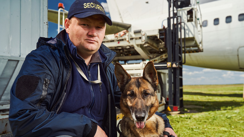 Forces de l'ordre avec un chien près d'un avion