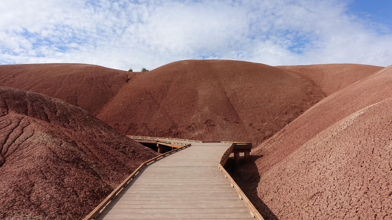 Passerelle à Painted Cove aux Painted Hills