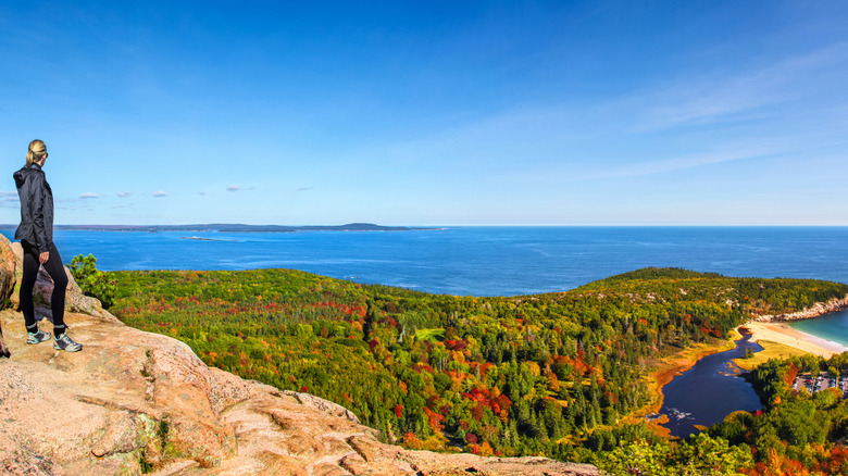 Vue panoramique depuis un sentier de l'Acadia National Park