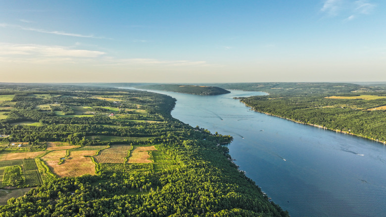 Vue aérienne du rivage d'un lac, avec forêts vertes et vignobles