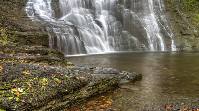 Feuilles d'automne bordant le bassin au pied de Frontenac Falls