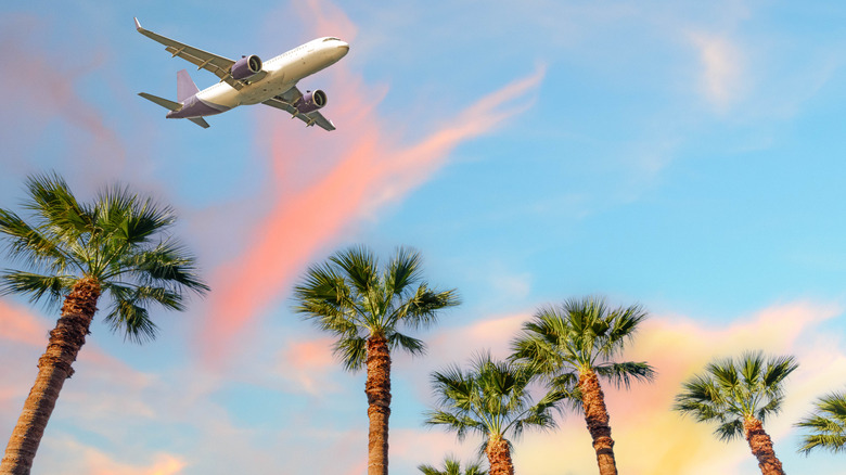 Un avion survolant des palmiers à proximité de l'aéroport de Maui