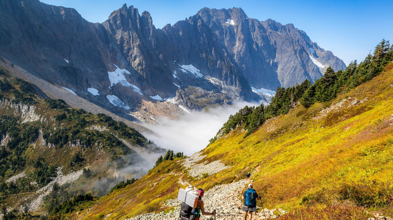 randonneurs dans le parc national de North Cascades