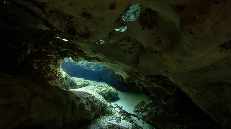 Underwater tunnel at the Chassahowitzka River