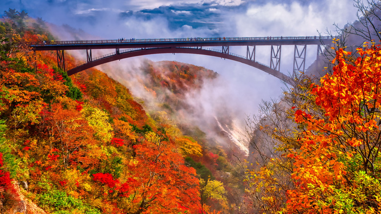 Vue du pont Fudosawa en automne à Fukushima, Japon