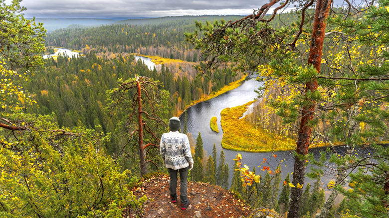 Femme admirant une rivière dans le parc national d'Oulanka en Finlande