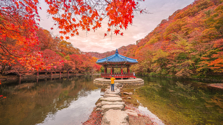 Pavillon ancien au milieu de l'eau au parc national de Naejangsan