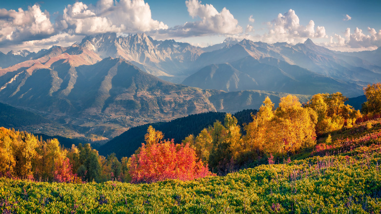 Montagnes du Caucase et feuillage d'automne en Géorgie