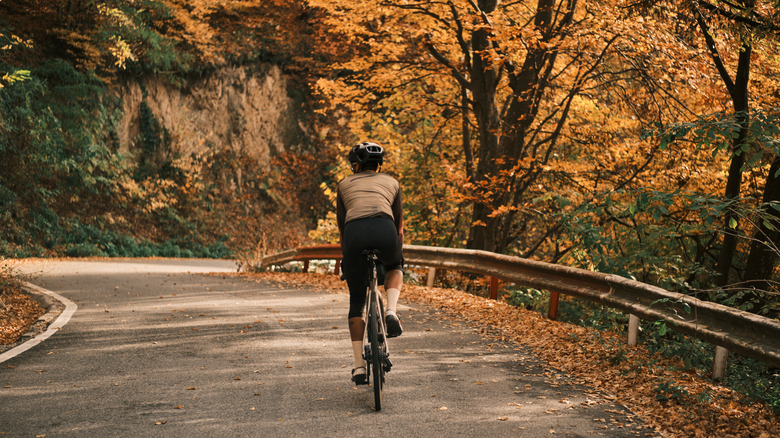 Cycliste sur une route d'automne dans les Carpates en Roumanie