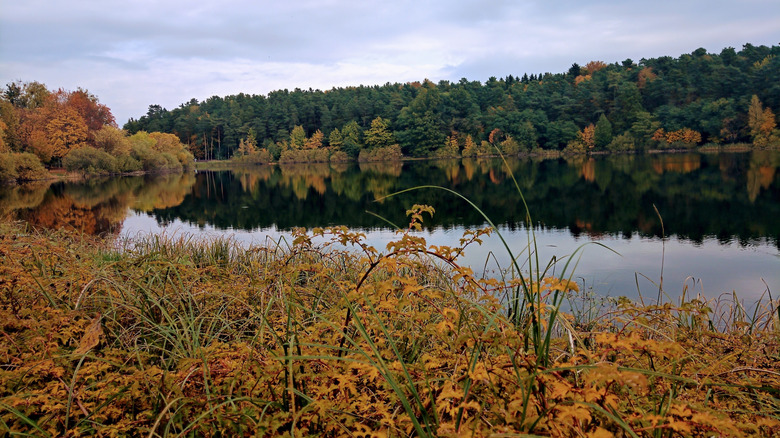 Automne sur la région des lacs de Mazurie en Pologne