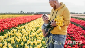 Les meilleures destinations au monde pour admirer des champs de tulipes spectaculaires