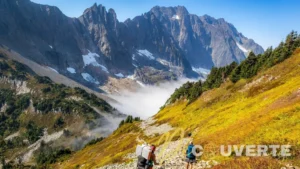 Les 5 meilleures randonnées du parc national de North Cascades selon les marcheurs