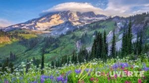 Le Parc National du Mont Rainier supprime son système de réservation pour 2026