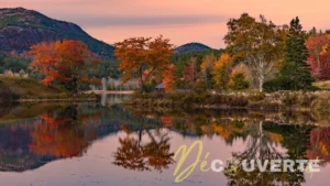 Mount Desert Island : l'échappée sauvage de Martha Stewart dans le Maine