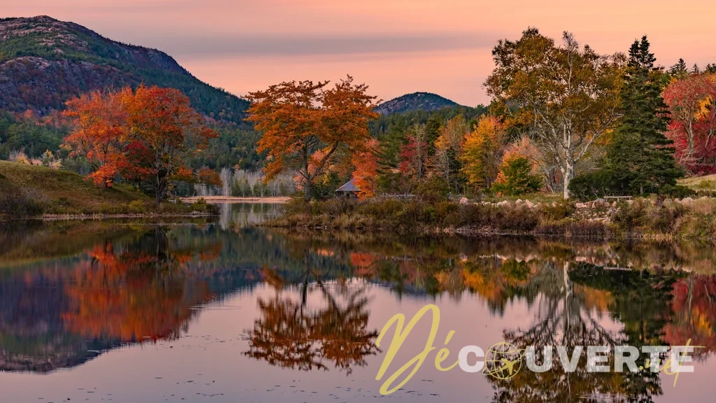 Mount Desert Island : l'échappée sauvage de Martha Stewart dans le Maine