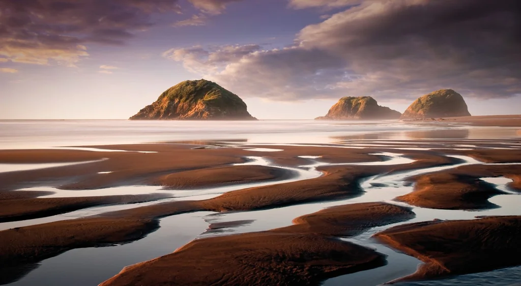 Paysage sauvage de Nouvelle-Zélande avec montagnes et lac bleu