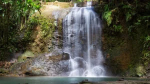 Parc forestier de Colo-i-Suva : une oasis de cascades au cœur des Fidji