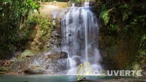 Au cœur des Fidji : le parc forestier de Colo-i-Suva et ses piscines naturelles