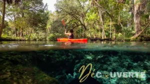 La Rivière Chassahowitzka : Sources Cristallines et Tunnels Sous-Marins en Floride