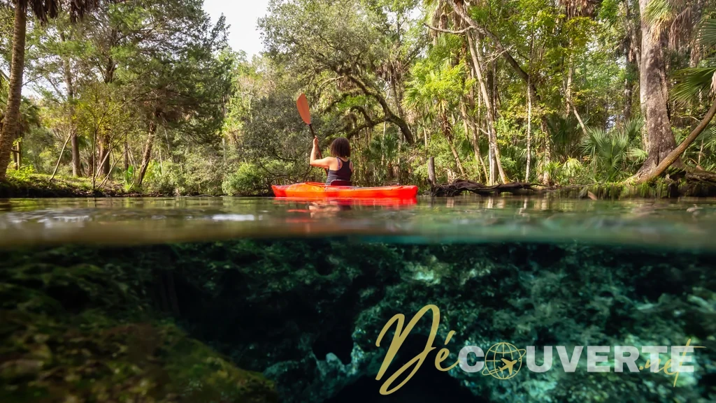 La Rivière Chassahowitzka : Sources Cristallines et Tunnels Sous-Marins en Floride