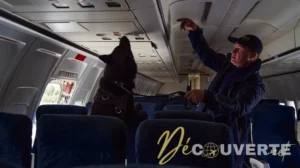 Incidents de sécurité en plein vol : que se passe-t-il vraiment pour les passagers ?